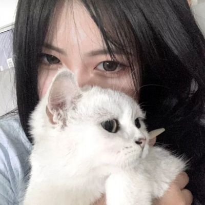 灌篮天才手游官方