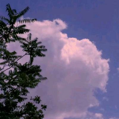 幻世契约果盘版下载